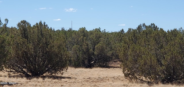 TBD High Plains Rd, Show Low, AZ 85901 - photo 5