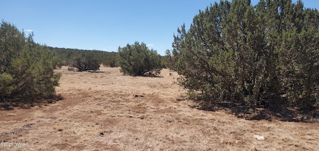 TBD High Plains Rd, Show Low, AZ 85901 - photo 2