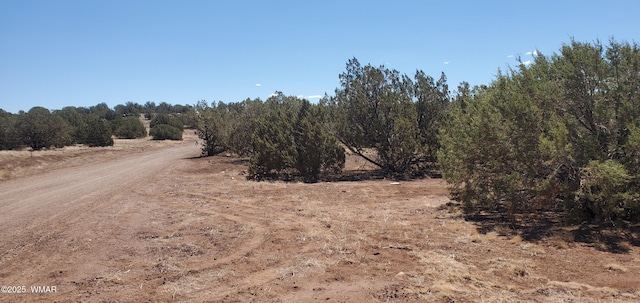 TBD High Plains Rd, Show Low, AZ 85901 - photo 3