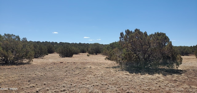 TBD High Plains Rd, Show Low, AZ 85901 - photo 10