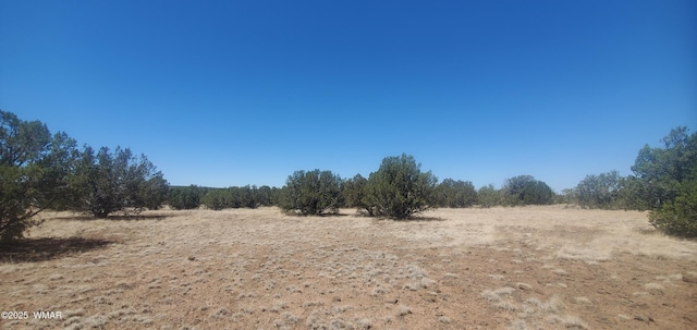 TBD High Plains Rd, Show Low, AZ 85901 - photo 12
