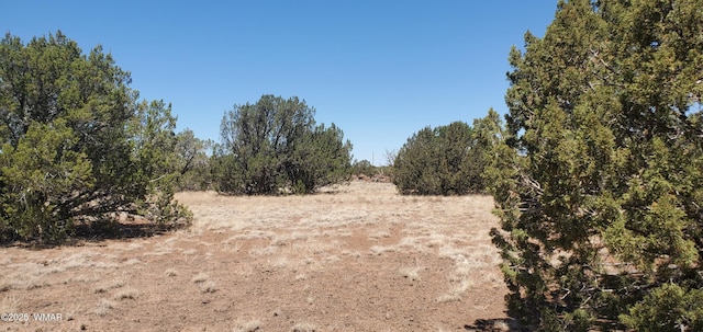 TBD High Plains Rd, Show Low, AZ 85901 - photo 1
