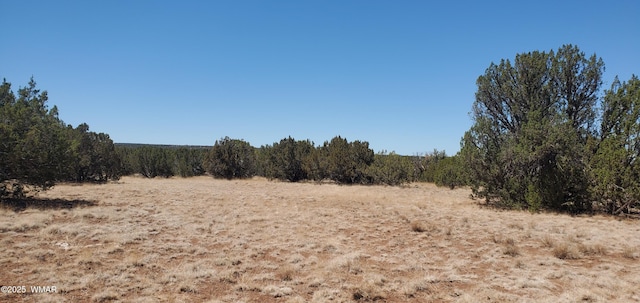 TBD High Plains Rd, Show Low, AZ 85901 - photo 4