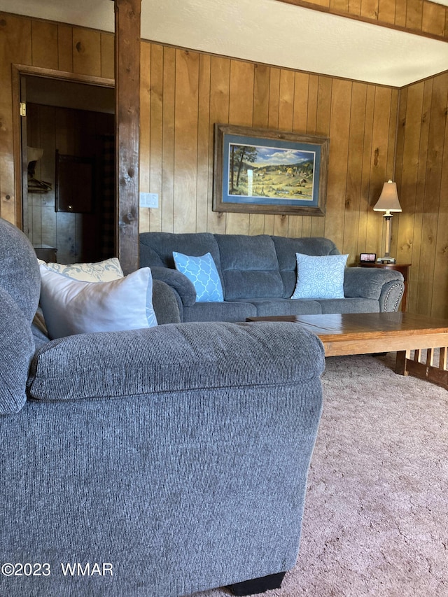 living area with carpet floors and wooden walls