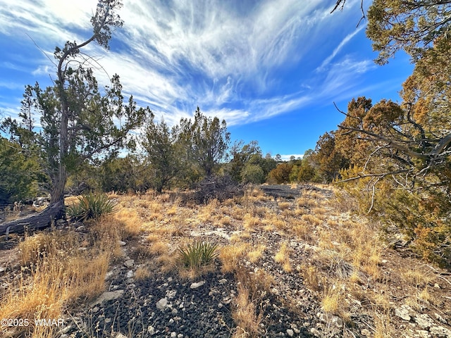 Listing photo 2 for 1582 Echo Cir, Heber AZ 85928