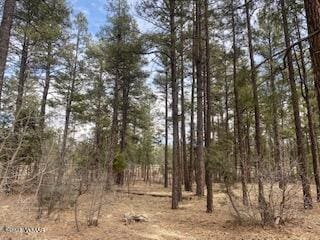 2360 Narrow Leaf Ln, Show Low AZ, 85901 land for sale