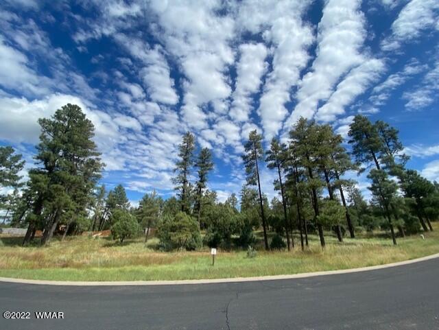 2300 W Whispering Springs Trl, Show Low AZ, 85901 land for sale