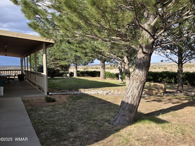 2596 E 6th Sundown Ln, Snowflake, AZ 85937 - photo 6