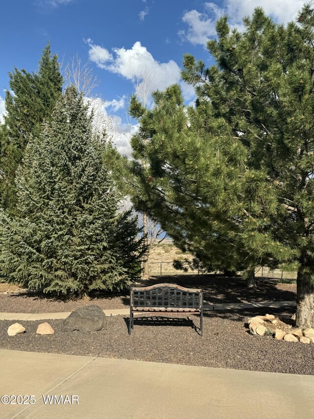 2596 E 6th Sundown Ln, Snowflake, AZ 85937 - photo 20