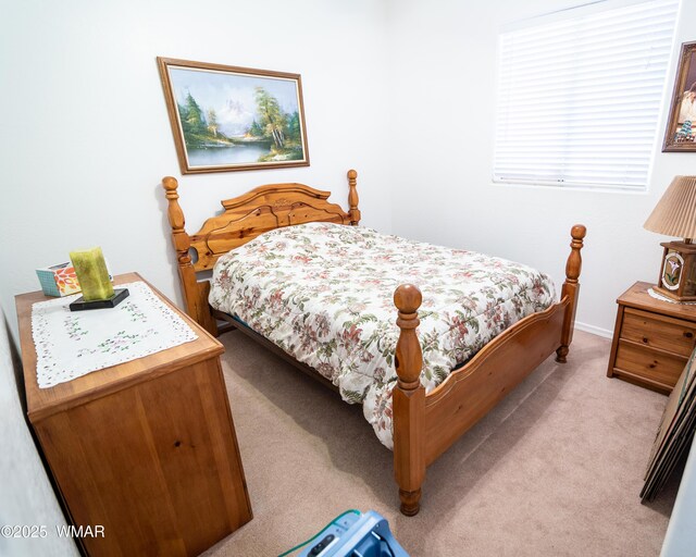 2596 E 6th Sundown Ln, Snowflake, AZ 85937 - photo 30