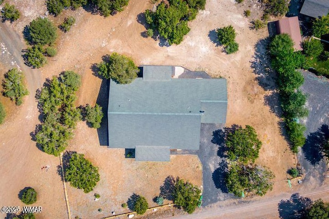 3244 Outlaw Trl, Overgaard, AZ 85933 - drone / aerial view