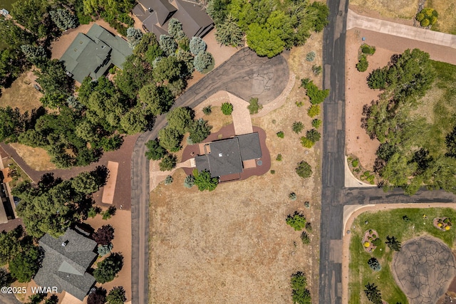 1415 N Lake View Cir, Lakeside, AZ 85929 - aerial overview of property's location