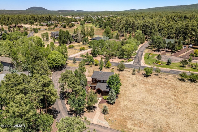 1415 N Lake View Cir, Lakeside, AZ 85929 - aerial view of mountains