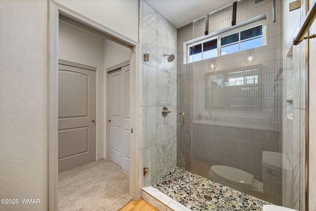 1415 N Lake View Cir, Lakeside, AZ 85929 - bathroom featuring a shower stall and toilet