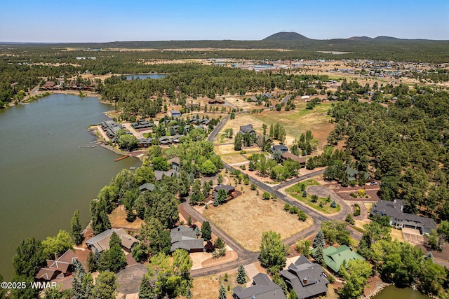 1415 N Lake View Cir, Lakeside, AZ 85929 - aerial overview of property's location featuring a nearby body of water