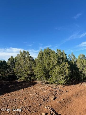 8776 Clark Rd, Show Low, AZ 85901