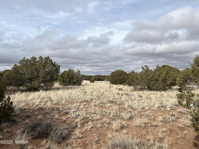 4053 E Pinto Rd, Snowflake AZ, 85937 land for sale