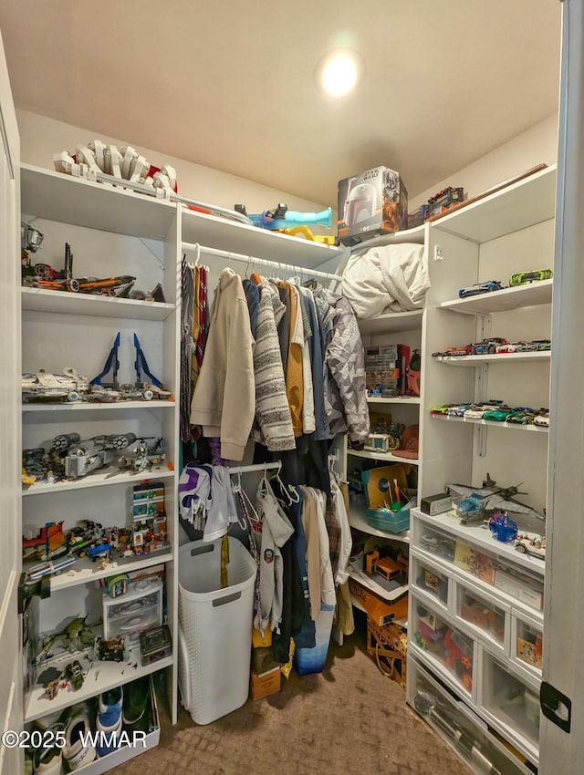 view of walk in closet