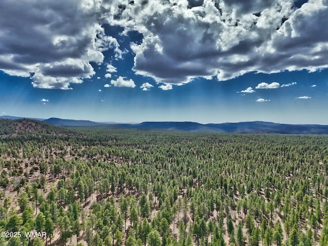 mountain view featuring a view of trees