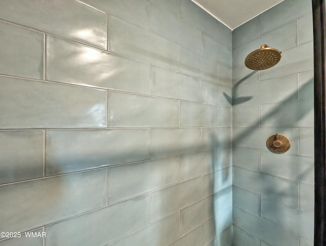 interior details with tiled shower