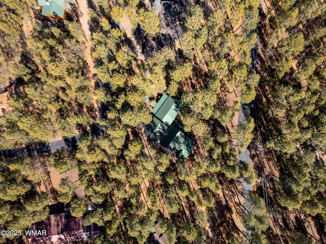 2677 Jackrabbit Dr, Pinetop, AZ 85935 - birds eye view of property