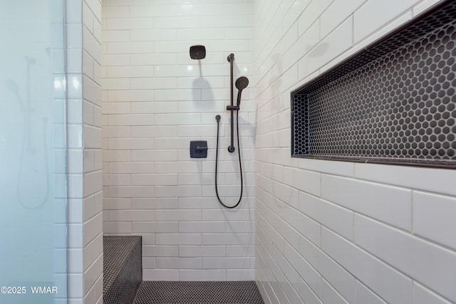 7758 James Pearce Way, Taylor, AZ 85939 - bathroom with tiled shower