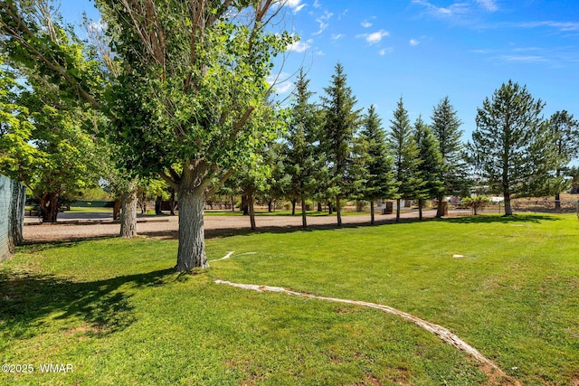 1030 Chamberlain Way, Show Low, AZ 85901 - view of green lawn
