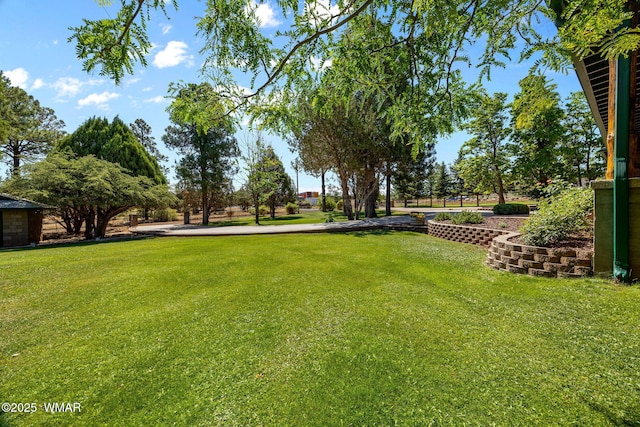 1030 Chamberlain Way, Show Low, AZ 85901 - view of green lawn