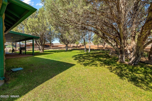 1030 Chamberlain Way, Show Low, AZ 85901 - view of green lawn