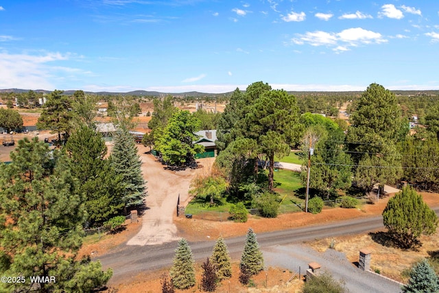 1030 Chamberlain Way, Show Low, AZ 85901 - bird's eye view