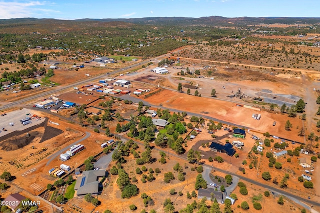 1030 Chamberlain Way, Show Low, AZ 85901 - view of property location featuring a mountainous background