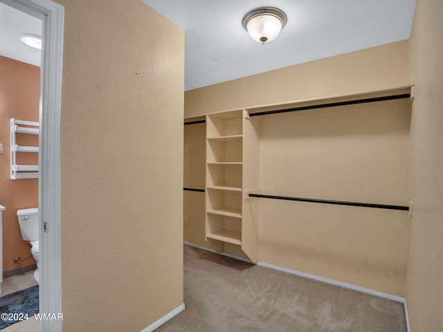 spacious closet with light carpet