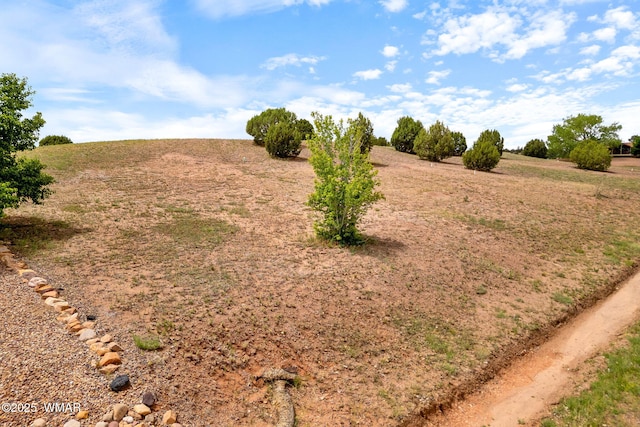 1182 Outlaw Pass, Show Low, AZ 85901 - photo 16