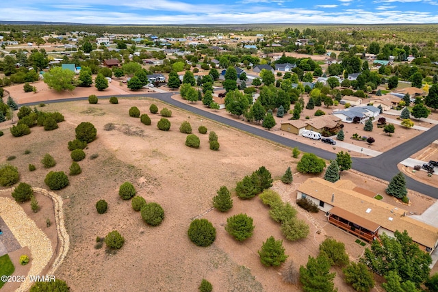1182 Outlaw Pass, Show Low, AZ 85901 - photo 5