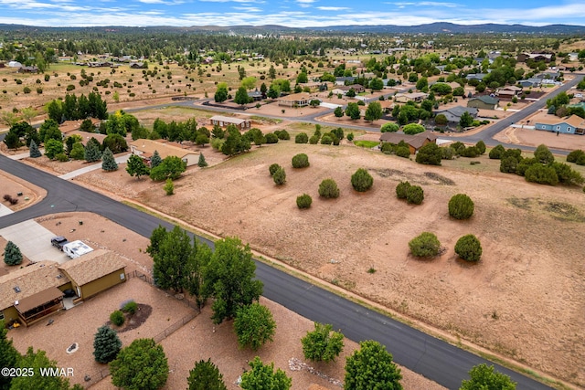 1182 Outlaw Pass, Show Low, AZ 85901 - photo 8