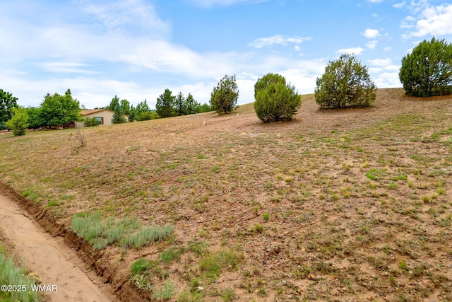 1182 Outlaw Pass, Show Low, AZ 85901 - photo 17