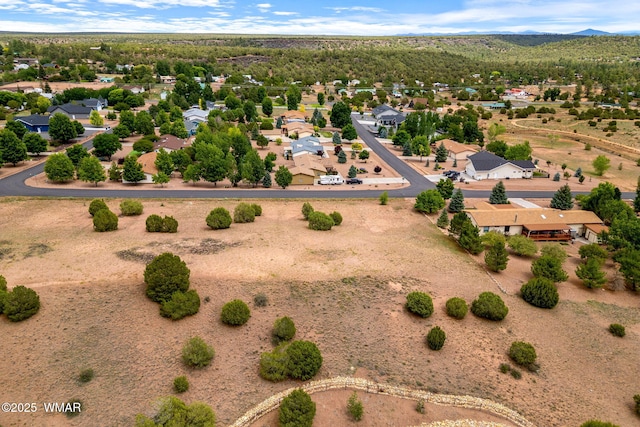 1182 Outlaw Pass, Show Low, AZ 85901 - photo 4
