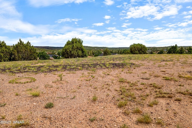 1182 Outlaw Pass, Show Low, AZ 85901 - photo 14