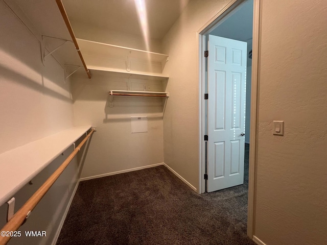 420 Washington St, Snowflake, AZ 85937 - walk in closet with dark colored carpet
