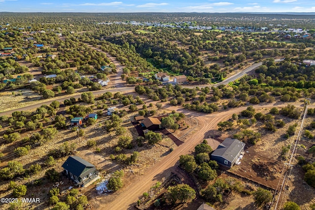 1919 Daggs St, Show Low, AZ 85901 - aerial overview of property's location