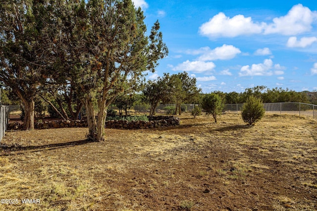 1919 Daggs St, Show Low, AZ 85901 - view of yard