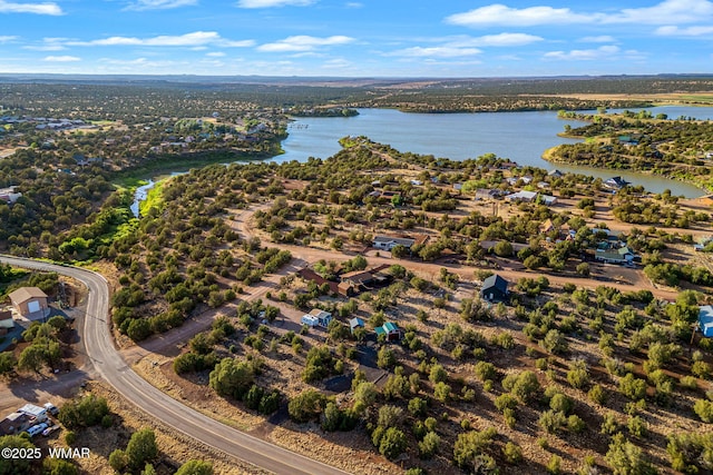 1919 Daggs St, Show Low, AZ 85901 - aerial view of property's location featuring a large body of water