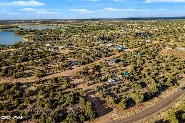 1919 Daggs St, Show Low, AZ 85901 - view of property location featuring a nearby body of water