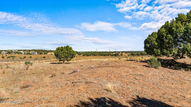 TBD Old Homestead Rd, Show Low, AZ 85901 - photo 13
