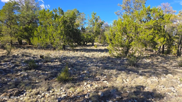 2947 E Lookout Ln, Overgaard, AZ 85933 - photo 12