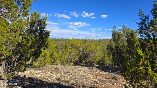 2947 E Lookout Ln, Overgaard, AZ 85933 - photo 2