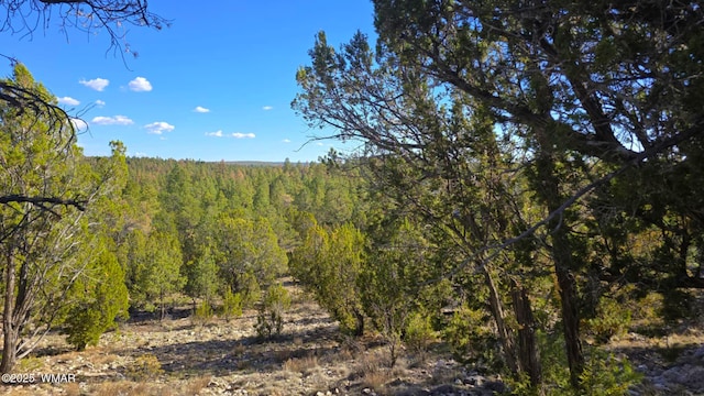 2947 E Lookout Ln, Overgaard, AZ 85933 - photo 1