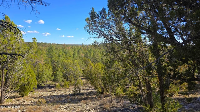 2947 E Lookout Ln, Overgaard, AZ 85933 - photo 4