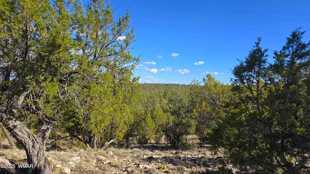 2947 E Lookout Ln, Overgaard, AZ 85933 - photo 8