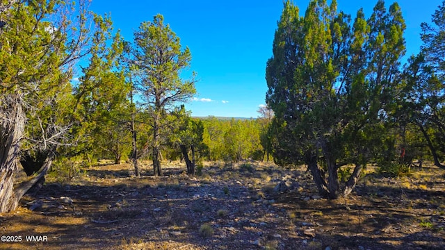 2947 E Lookout Ln, Overgaard, AZ 85933 - photo 6